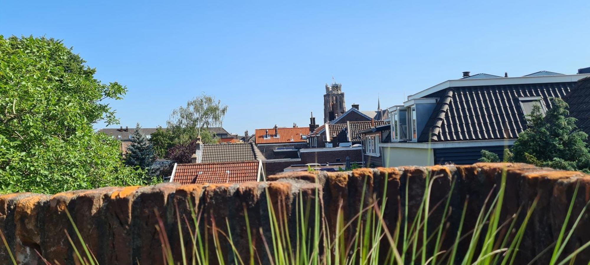 Zen B&B Dordrecht Rum bild